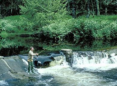 River Dart Adventures