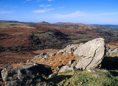Towards Hound Tor - DACOM