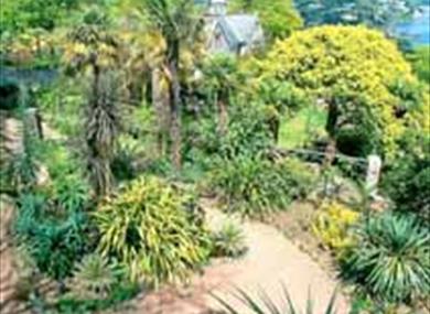 Overbecks Museum and Garden, Salcombe