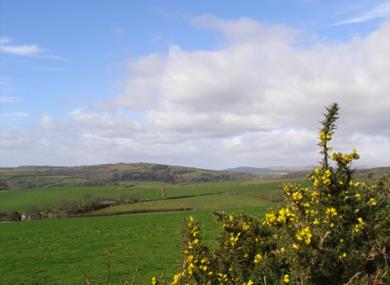 Blackdown Rings from Hendham
