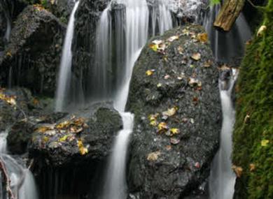 Canonteign Falls
