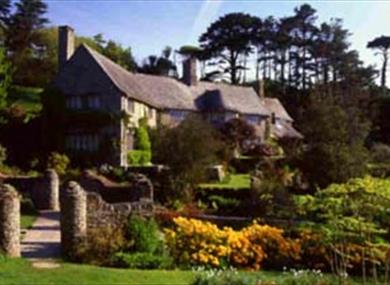 Coleton Fishacre and gardens