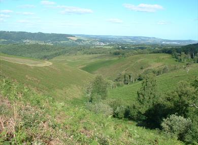 East Dartmoor Woods & Heath - English Nature