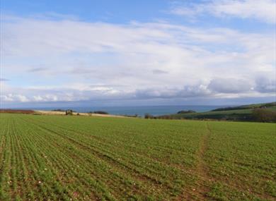 Fields and the Sea from Coleridge Cross