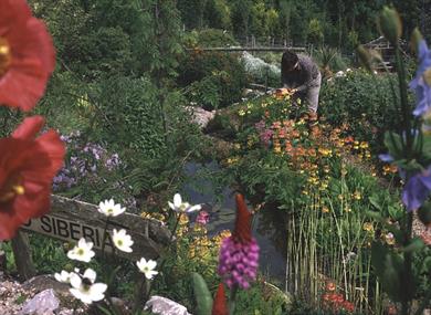 Plant World