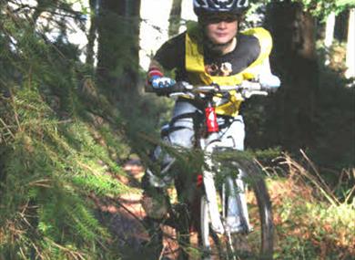 Go - Ride