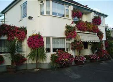 Harewood Guesthouse