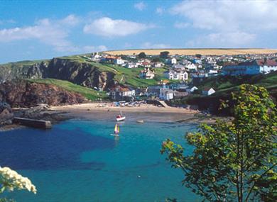 Hope Cove from Cliffs