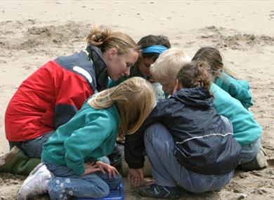 Learn to Sea at South Milton Sands