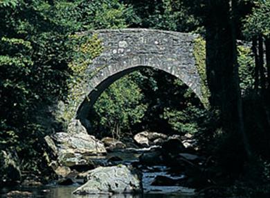 Ivybridge