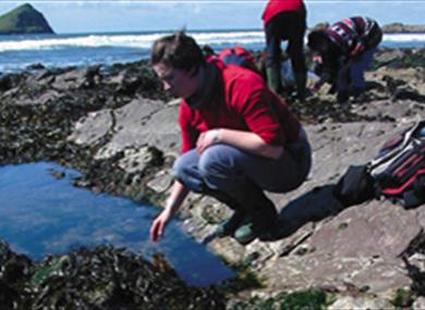 Rockpool Ramble