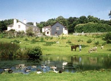Knowle Farm gardens