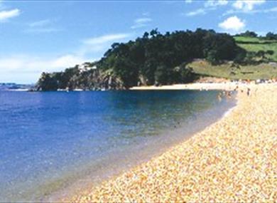 Venus Beach Company - Blackpool Sands