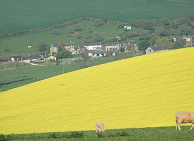 Longcombe Farm Cottages