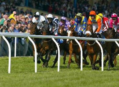 Newton Abbot Racing