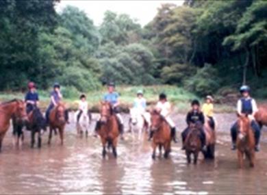 Newton ferrers Riding Centre