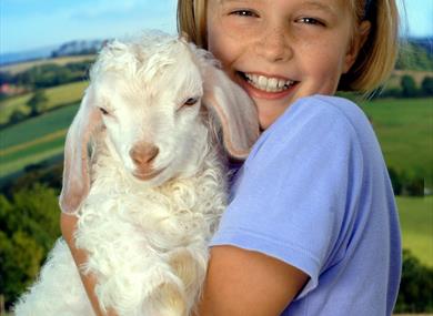 Pennywell Farm