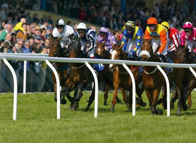 Newton Abbot races
