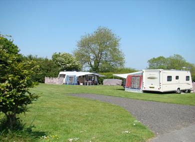Woodlands Grove Caravan & Camping Park
