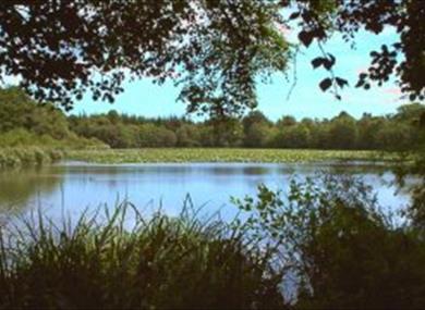 Stover Country Park