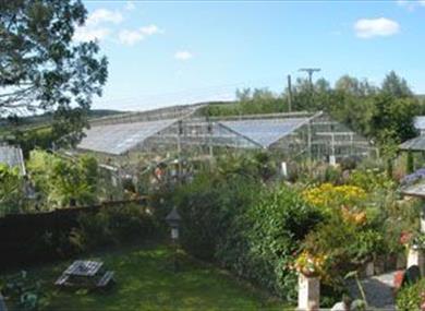 Hill House Nursery and Gardens