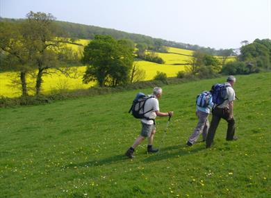 Ivybridge Walking & Outdoor Festival
