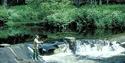 River Dart Adventures