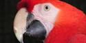 Dartmoor Zoological Park
