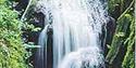 Canonteign Falls, Christow