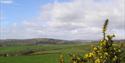 Blackdown Rings from Hendham
