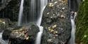 Canonteign Falls