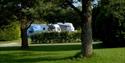 Woodlands Grove Caravan & Camping Park