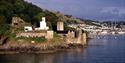Dartmouth Castle