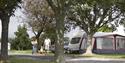 Dartmouth Camping and Caravanning Club Site