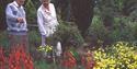 Plant World - South Devon