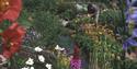Plant World