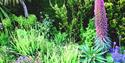 Plant World