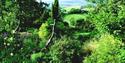 Plant World in June