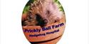Hedgehog Hospital at Prickly Ball Farm