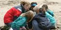 Learn to Sea at South Milton Sands