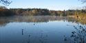 Stover Park