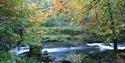 River Erme above Ivybridge
