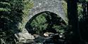 Ivybridge