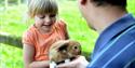 Petting bunnys