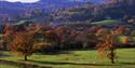 Lustleigh