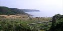 Looking East towards Start Point