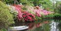 Lukesland Garden