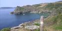 Maceley Cove