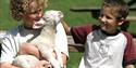 Powderham Castle