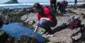 Rockpool Ramble
